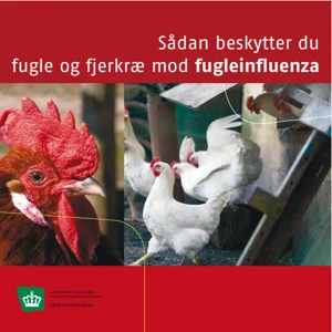 Pjece om fugleinfluenzaregler