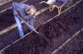 Anne marie digging