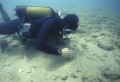 Undervandsarkæologiske undersøgelser i havet ud for Camarina på det sydlige Sicilien