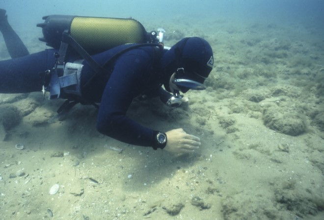 Undervandsarkæologiske undersøgelser i havet ud for Camarina på det sydlige Sicilien