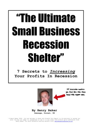 The Ultimate Small Business Recession Shelter by Henry Baker
