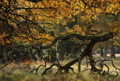 Knortet gren og efterårsfarver i Tofte Skov 