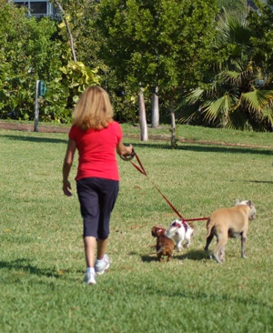 Multiple Dogs with Sling Leash
