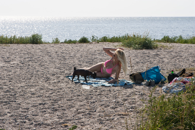 Barbara Zatler beach with dog (HiRes) 4