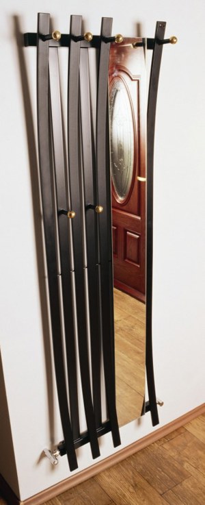 Terma passo mirror designer radiator
