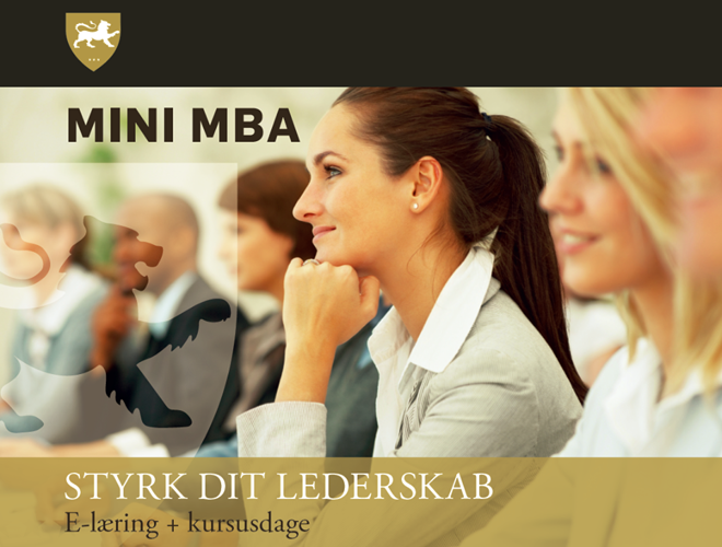 PROBANA Business School Mini MBA Succes