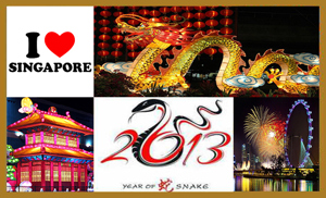 Singapore cny 2013
