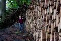 DSHwood Spruce stack 1