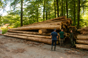 DSHwood Spruce stack 2