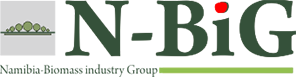 N-BiG logo