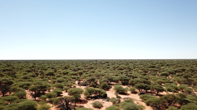 Namibian bush farm